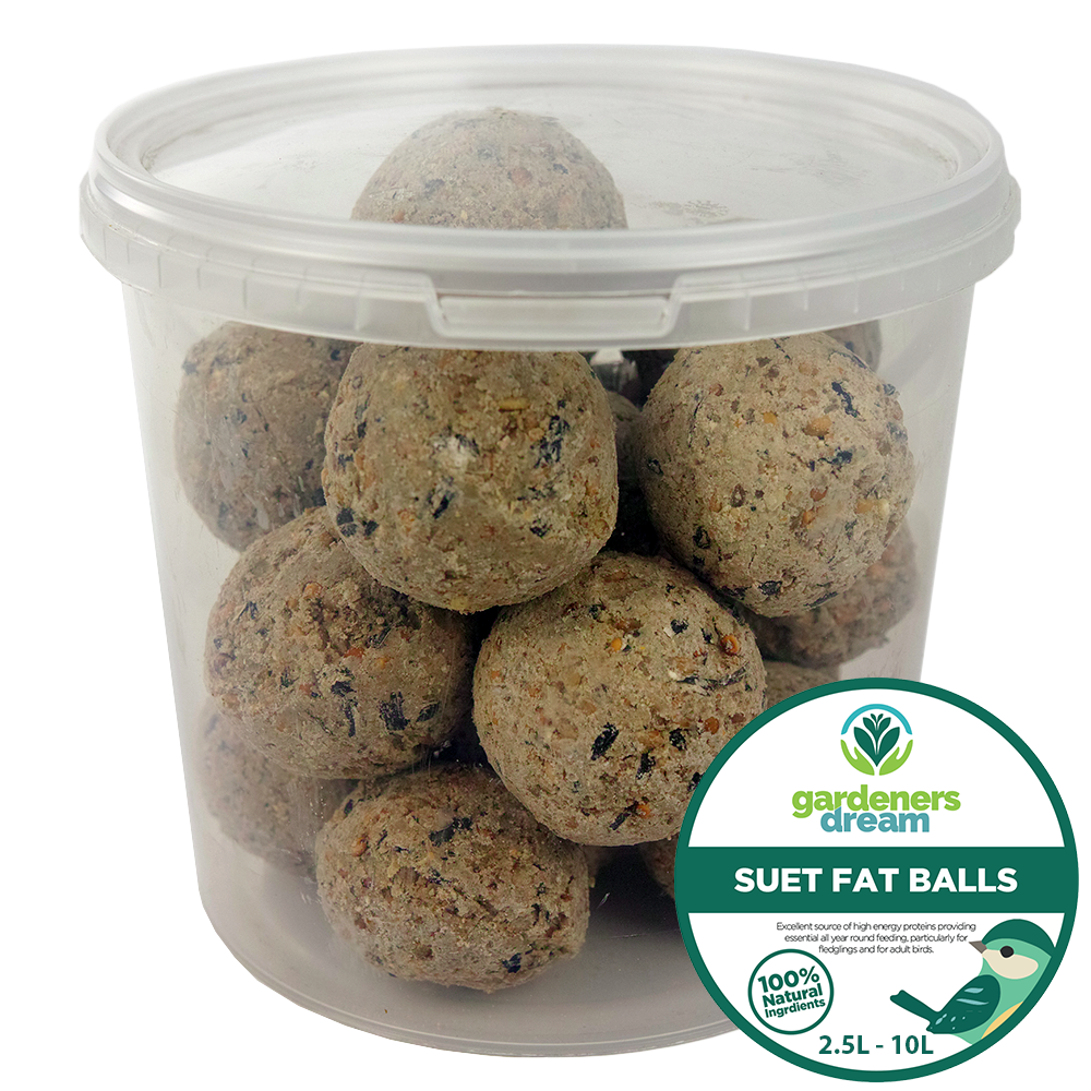 GardenersDream Suet Fat Balls High Energy Feed Wild Garden Bird Food